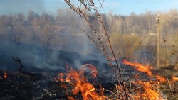 Дом, трава  и мусор горели на Сахалине 11 мая