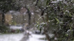 Мокрый снег с дождем спрогнозировали в Южно-Сахалинске 6 мая 