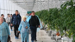 Невельский тепличный комплекс провел экскурсию для членов общества инвалидов «Валентина»