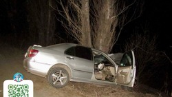 Водитель и пассажир пострадали после наезда на дерево в Александровск-Сахалинском районе 