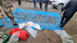 Полицейские задержали браконьеров с 20 тысячами экземпляров трепанга на Сахалине