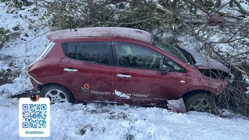 На Шикотане пьяный водитель Nissan Leaf слетел с дороги — один человек погиб