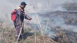 Крупные возгорания сухой травы произошли в нескольких районах Сахалина