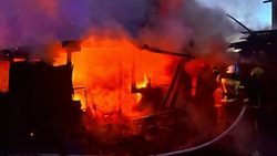 Куры погибли во время пожара в хозпостройке в Углегорске ночью 27 ноября   