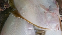 Рыбу по низким ценам привезли жителям трех районов Сахалина 5 сентября