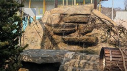 У выдры Коляна в зоопарке Южно-Сахалинска заработал водопад