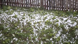 Дождь со снегом сменятся прояснениями в Южно-Сахалинске 8 мая