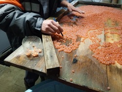 Предприятия Сахалина заложили более 1 млрд икринок лосося на инкубацию