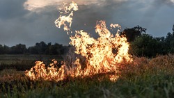 Сухая трава горела в четырех районах Сахалина 2 мая