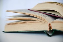 Если наберете хотя бы 8/11, то ваша голова — кладовая знаний — ТЕСТ