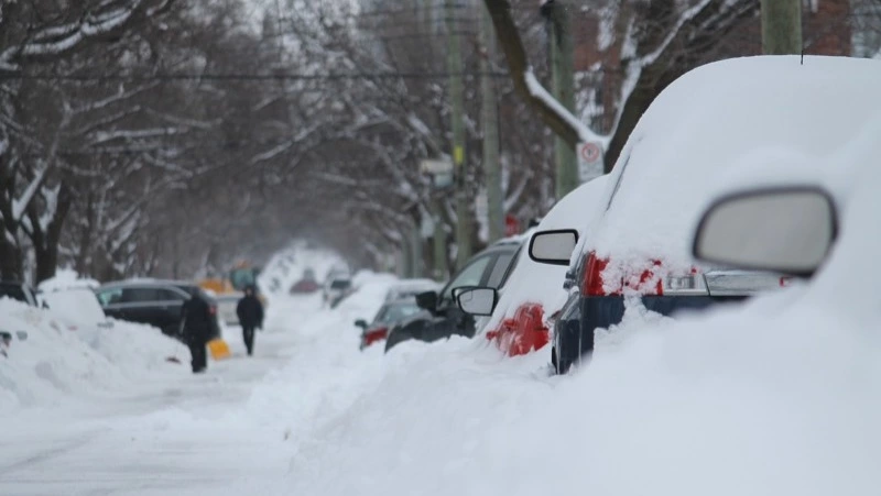 На улицы Южно-Сахалинска вышли 173 рейсовых автобуса утром 30 января