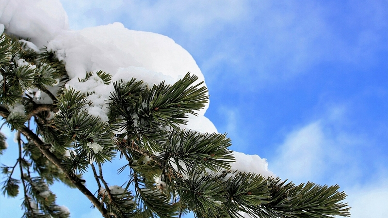Синоптики: на Сахалине установилась погода, характерная для середины зимы