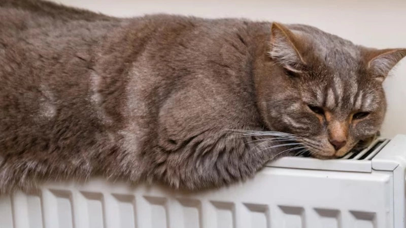 Детские учреждения, село и десятки улиц Южно-Сахалинска останутся без отопления 24 декабря