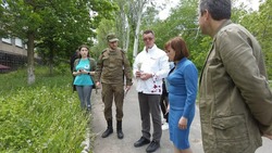 Саженцы горной сахалинской вишни высадили возле музея в Донецке