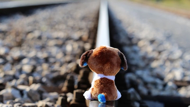 Следователи нашли в Южно-Сахалинске двух беглянок из социального центра «Маячок»