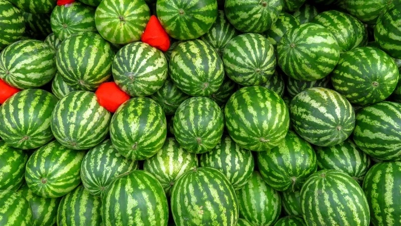 Пазлы: сможете собрать все картинки с арбузами?