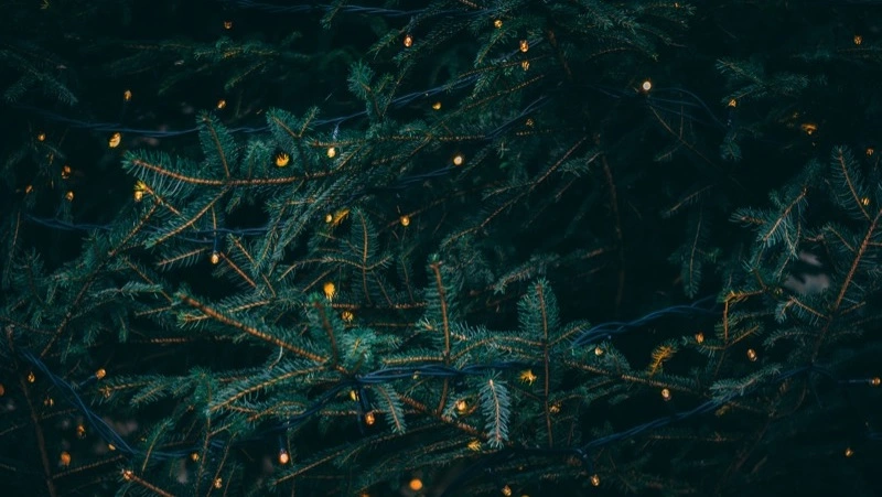 Сбор подарков для пенсионеров начали в Макарове в рамках акции «Серебряная елка»