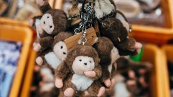 Сахалинский зоопарк разработал собственную коллекцию сувениров