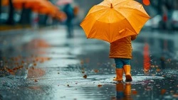 До +12 градусов и дождь: прогноз погоды в Южно-Сахалинске на 20 мая