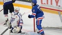 «Удивительно, но обошлось без драк». Команда «Сахалинские Акулы» проиграла «СКА-1946»