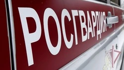 Росгвардейцы на Сахалине задержали 11 правонарушителей за неделю 