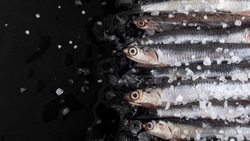 Экспорт рыбы и морепродуктов с Сахалина и из Приморье вырос в 1,5 раза 