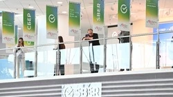 В ноябре  запустят международную платформу BRICS+ AI Success Hub