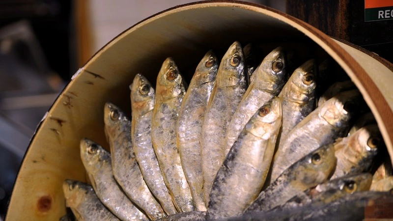 ФАС наказала экс-чиновника Росрыболовства, предупредившего о грядущем росте цен на рыбу