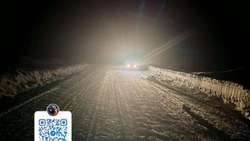 Водитель сбежал после смертельного наезда на пешехода в Углегорском районе