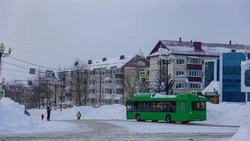 Валерий Лимаренко рассказал о ситуации в Сахалинской области после метели