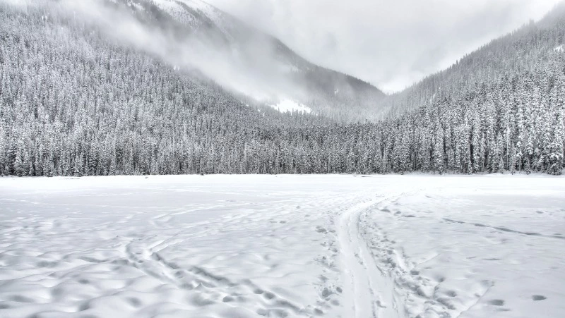 Разница ночных и дневных температур достигнет 20°С: погода на Сахалине на неделю