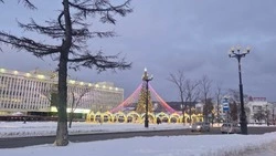 Термометры покажут до -6 градусов в Южно-Сахалинске днем 18 января