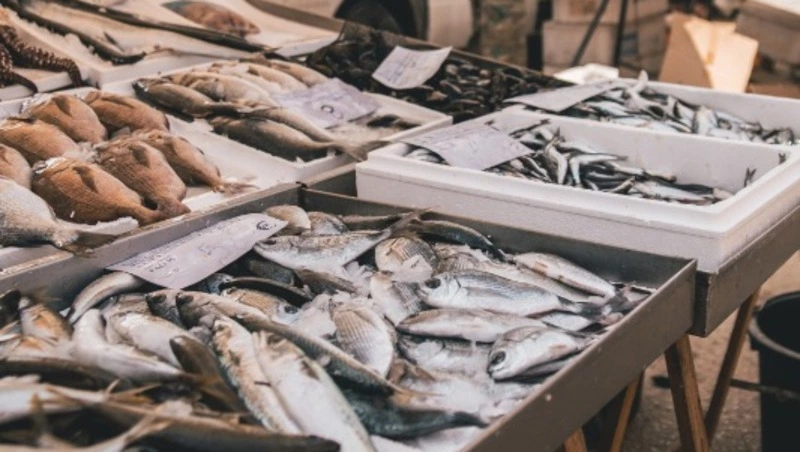 Жители Южно-Сахалинска смогут купить камбалу за 90 рублей: АДРЕСА