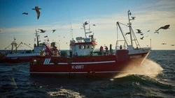 Кто производит каждую третью банку шпрот в России  