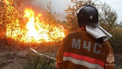 Пожарные потушили горящую траву в Ногликском районе 