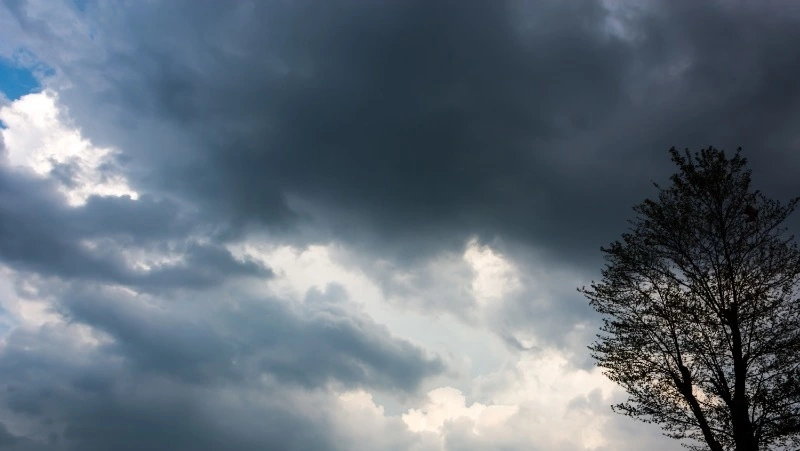 Снег и гололедицу спрогнозировали синоптики в Сахалинской области 6 ноября