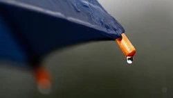 Дождь на юге и солнце на севере: точный прогноз погоды на Сахалине и Курилах 13 июня