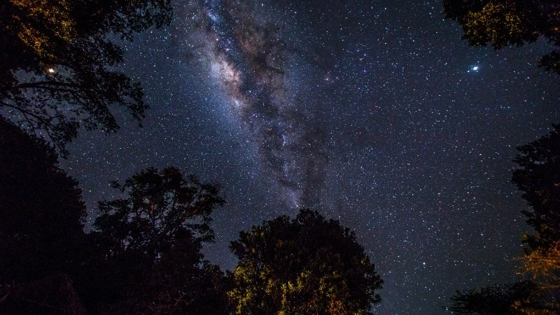 Гороскоп на 24 декабря: Тельцы пересмотрят бюджет, Рыбам принесет успех командная работа