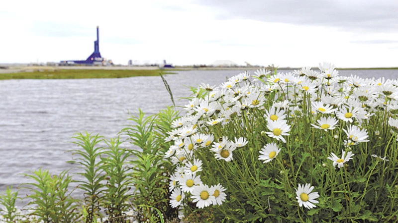 Сахалинцы и курильчане поддерживают экологическое усиление новой Конституции РФ