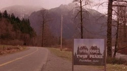 Тест по сериалам 90-х: от «Дикого Ангела» до «Твин Пикс»