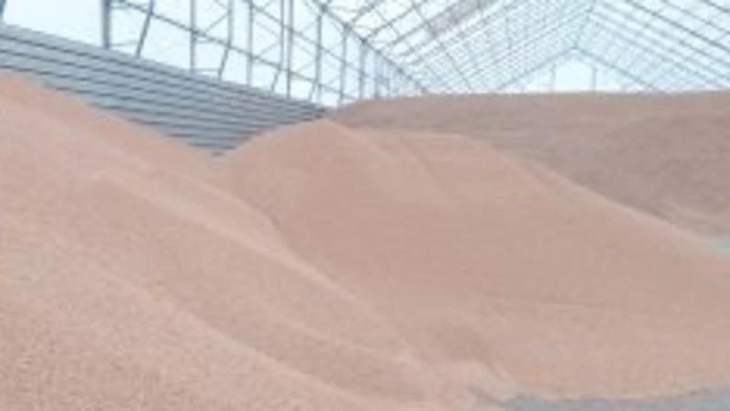 С начала года на Сахалине выявлено шесть нарушений при декларировании зерна