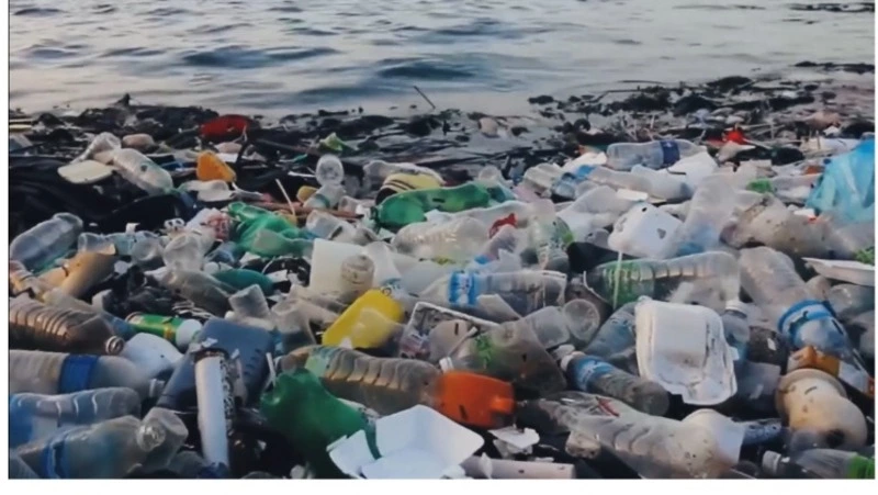 «Друзья океана» и клуб «Бумеранг» сняли ролики о бережном отношении к природе