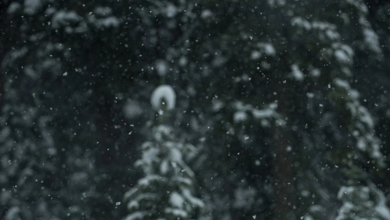 Снег и до 20-градусный мороз ждет жителей Сахалина и Курил 18 декабря