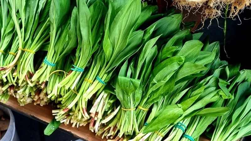 3 блюда с черемшой: как приготовить вкусно первый дикорос