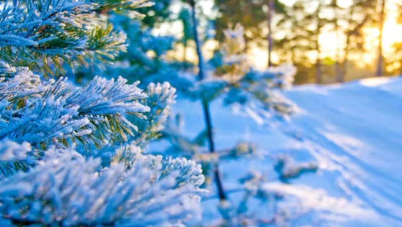 Гололед и до –17 градусов прогнозируют в Южно-Сахалинске 22 декабря