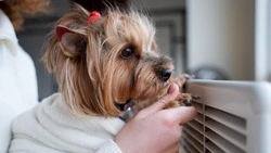 Несколько улиц Южно-Сахалинска остались без отопления 6 марта