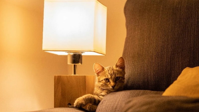 Часть Южно-Сахалинска осталась без света 3 июля