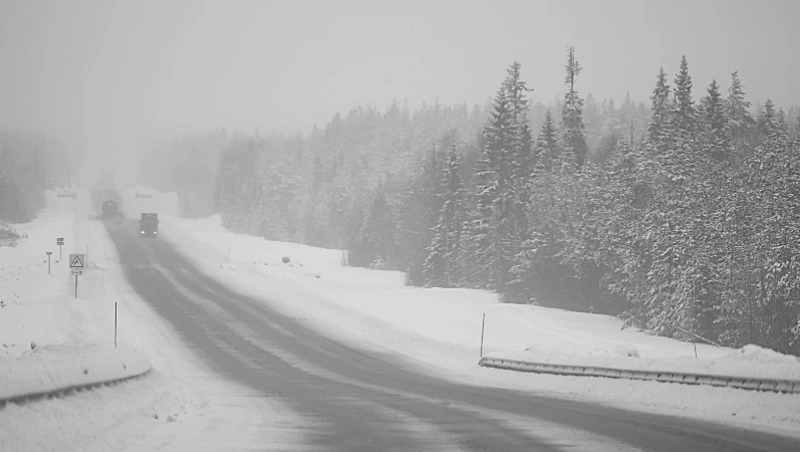 Метель нарушила автобусное сообщение из Корсакова в Озерское