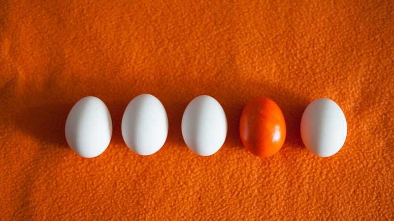 Добавь ярких красок: на Сахалине прошел фотокросс