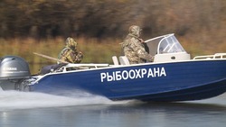 За неделю инспекторы рыбоохраны выявили более 100 нарушений в Сахалинской области